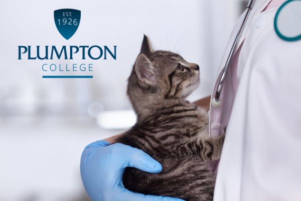 images/notice board/2026/Veterinary Nursing.jpg